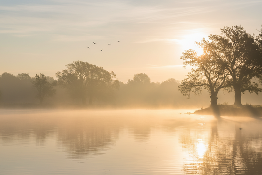 Reclaiming Your Morning From the Noise